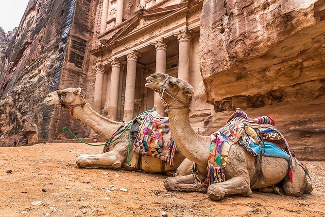 Full Day Petra and Wadi Rum Tour from Amman - Price and value: what $200 really buys you