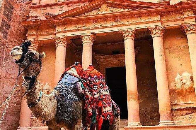 Full Day Petra and Wadi Rum Tour from Amman - Petra tickets: what you pay for and what you don’t