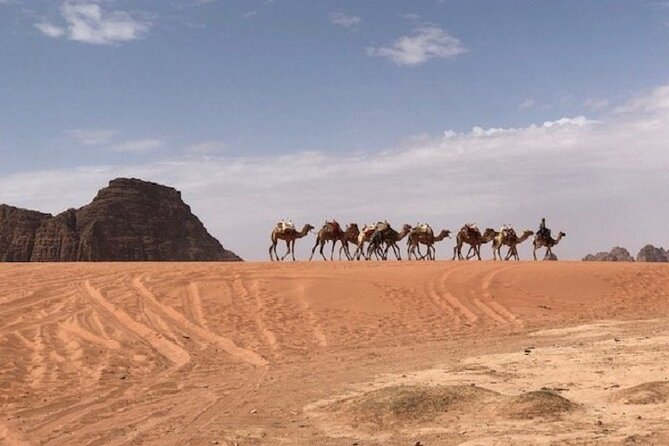 Full-Day Private Tour in Petra with Hotel Pick-Up - Optional Lunch Box, and How to Plan Food