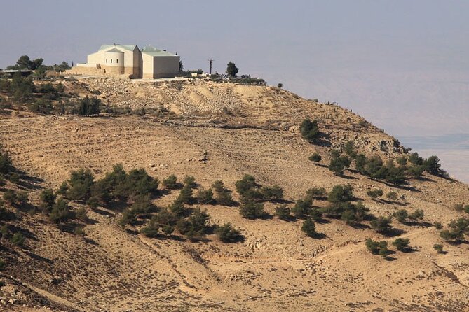 Full-Day Private Tour to Madaba, Mount Nebo and Dead Sea - Transport and private pacing: why drivers make or break this day