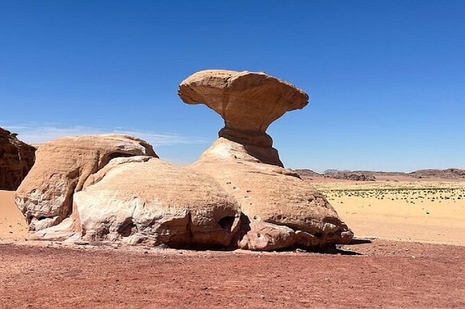 Full Day Tour Petra and Wadi Rum from Amman - Petra essentials: Siq to the Treasury, then pick your next move
