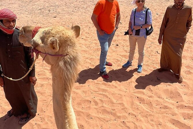 Full Day Tour Petra and Wadi Rum from Amman - Who this tour fits best, and who may want a slower plan
