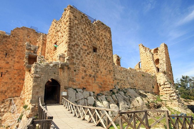 Full-Day Tour: Umm Qais, Jerash, and Ajloun from Amman - Ajloun Castle and hilltop fortification over northwest Jordan