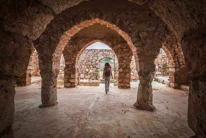 Full Day Umm Qais, Ajloun & Jerash - Price and value: what $99.99 is really buying you
