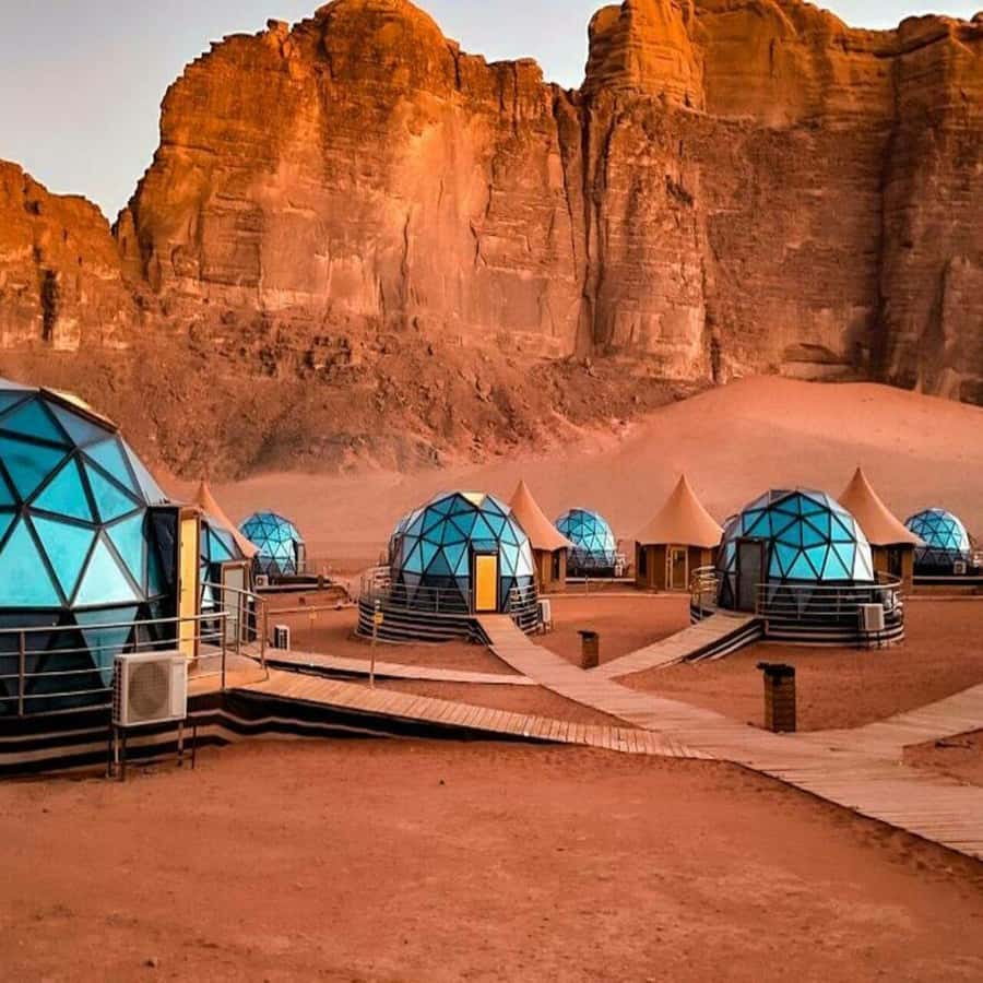 Full-Days Tours Petra from Amman - Who This Petra Day Trip Fits Best