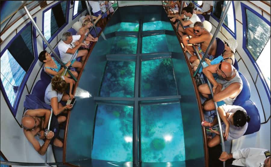 Glass Boat & Snorkeling with day use of Berenice Beach Club - Key Points That Matter Before You Go