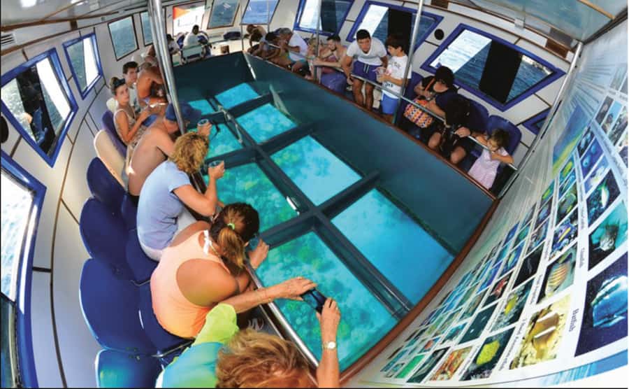 Glass Boat & Snorkeling with day use of Berenice Beach Club - 1 Hour on the Glass-Bottom Boat, Coral and Wrecks You Can Actually Identify