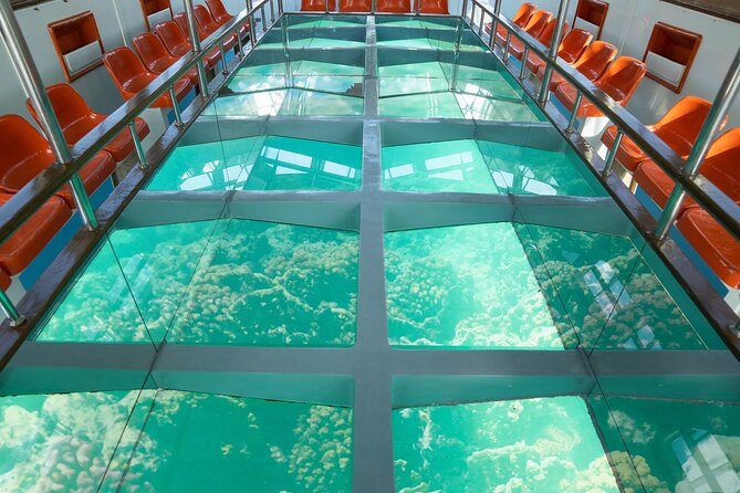 Glass-Bottom Boat 2-hours Tour and Coral-Reef Viewing from Aqaba - Key highlights to know before you go