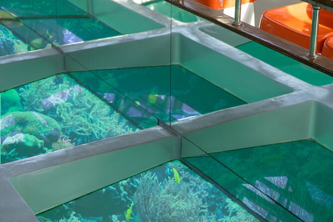 Glass-Bottom Boat 2-hours Tour and Coral-Reef Viewing from Aqaba - Extras that can affect your plan: pickup, lunch, and where you can eat