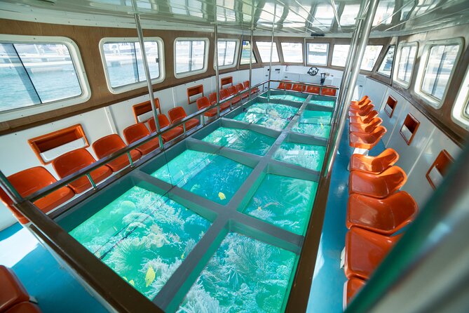 Glass-Bottom Boat 2-hours Tour and Coral-Reef Viewing from Aqaba - Meeting at Ayla Marina Village, and why the start time matters
