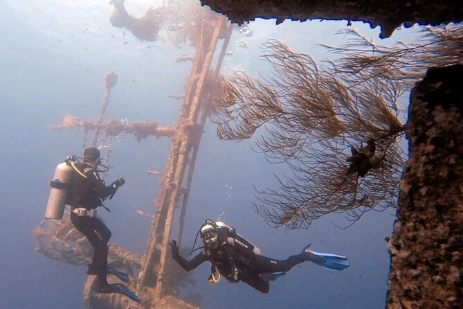 Guided Scuba Diving Adventure in Aqaba - Quick highlights you will care about