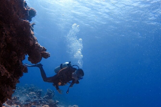 Guided Scuba Diving Adventure in Aqaba - Why Aqaba’s Red Sea visibility changes the whole experience