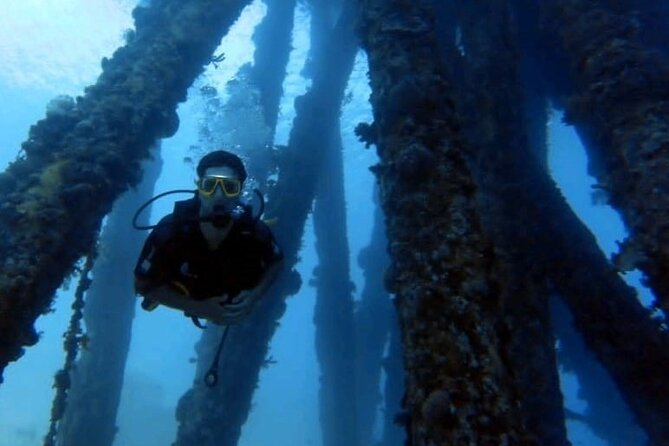 Guided Scuba Diving Adventure in Aqaba - The underwater session: coral reef time and neutral buoyancy control