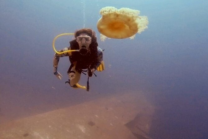 Guided Scuba Diving Adventure in Aqaba - Hammerhead center meet-up and gear handoff without the fuss