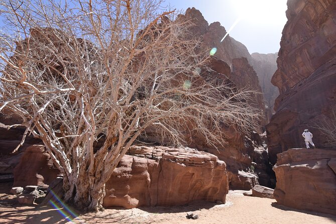 Half day Jeep and camel tour No stay - Sandboarding: included, fun, and sometimes a little inconsistent