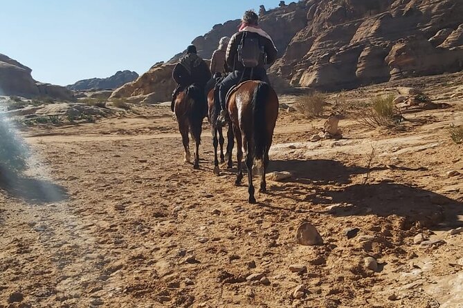 Half-Day Private Indiana Jones Petra Back Road Trial Tour - Why this Petra back-road horse ride feels more like an adventure