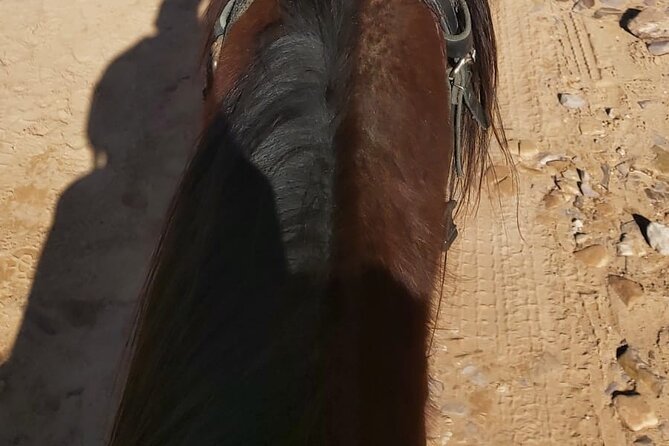 Half-Day Private Indiana Jones Petra Back Road Trial Tour - Safety, horse care, and dressing for Petra on horseback