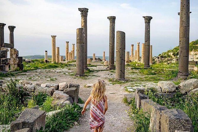Half Day Private Tour From Amman To Jerash - A Smooth Amman-to-Jerash Half Day With Door to Door Transport