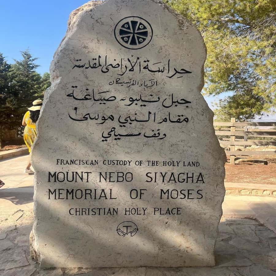 Half Day Tour To Madaba and Mount Nebo From Amman - Who this tour suits best (and who might want a different plan)