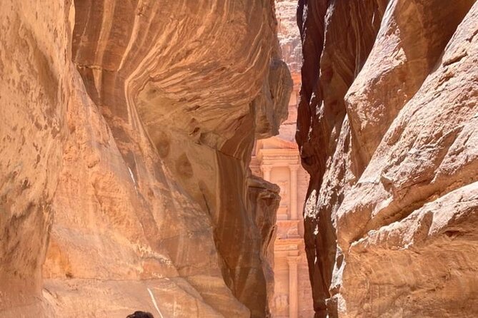 Half Day Tour to the Wonderful City of Petra - Comfortable Return Drive Back to Amman by 19:30
