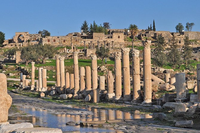 Jerash, Ajloun, and Umm Quais Full-Day Tour - Ajloun Castle and the fortress feeling of a 12th-century stronghold