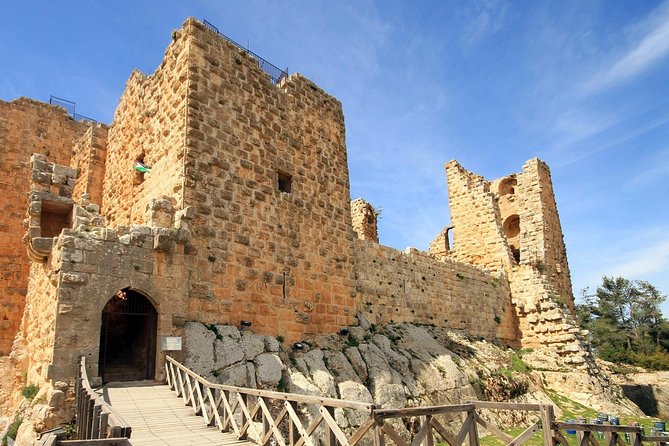 Jerash, Ajloun, and Umm Quais Full-Day Tour - On-site guidance: when it’s worth paying extra, and when it’s not