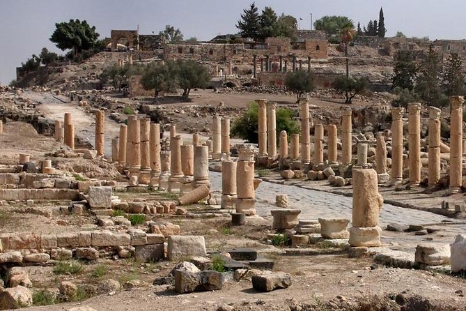 Jerash, Ajloun, and Umm Quais Full-Day Tour - What the day feels like: private vehicle comfort, driver personality, and pacing