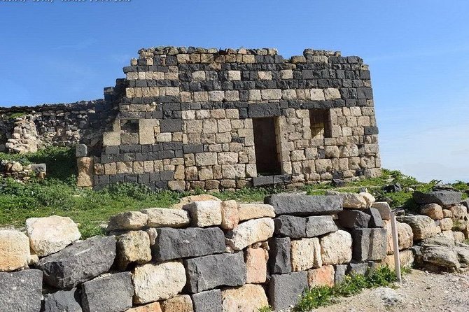 Jerash, Ajloun, and Umm Quais Full-Day Tour - Price and value: what $96 per person really buys you