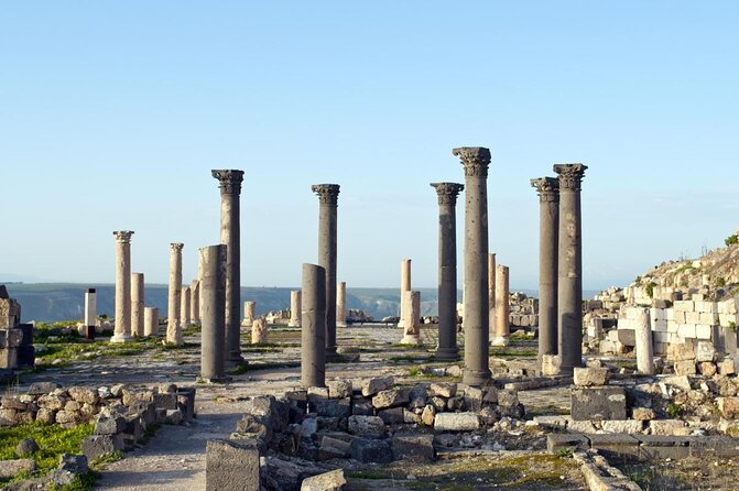 Jerash, Ajloun, Umm Qais Day Trip - Key highlights to pay attention to