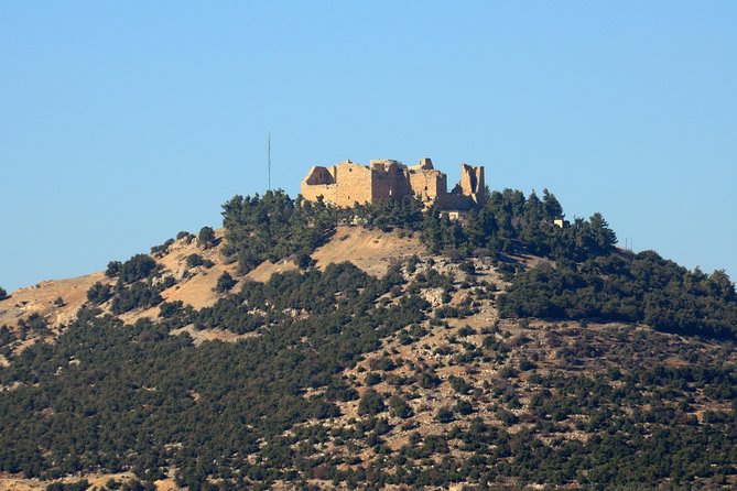 Jerash, Ajloun, Umm Qais Day Trip - Jerash Ruins: A Roman City Layout You Can Read Fast