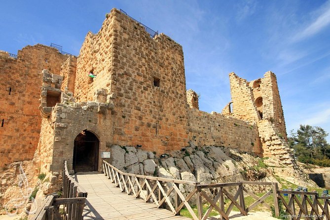 Jerash, Ajloun, Umm Qais Day Trip - Morning Pickup Out of Amman: Simple Start, Real Time Savings