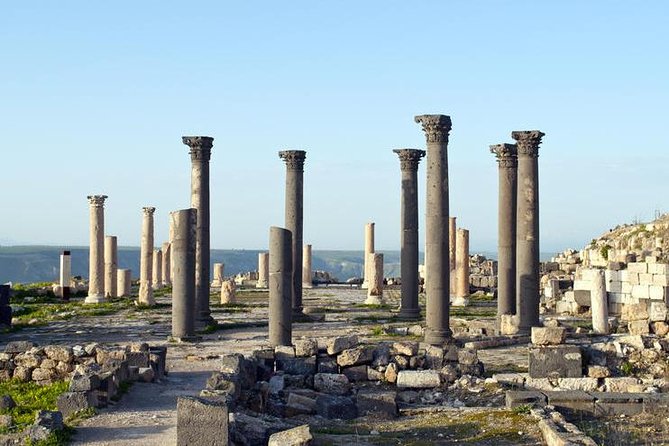 Jerash, Ajloun & Umm Qais Private tour - Comfort and convenience from Amman (the part you feel immediately)