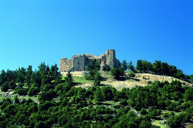Jerash and Ajloun Castle Full day Tour - Comfort Boosters: Air Conditioning, Wi-Fi, and a Smart Driver