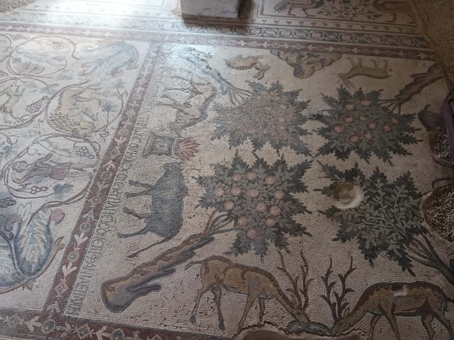 Jordan Mosaic Wonders: Umm ar-Rasas, Madaba & Mount Nebo - Drivers matter here: Amer, Mohammad, and Mohammed Ghaith-style service