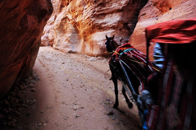 Jordan Private Driver Services | The Jordanian Mappers - Price and value: when $50 per group makes sense