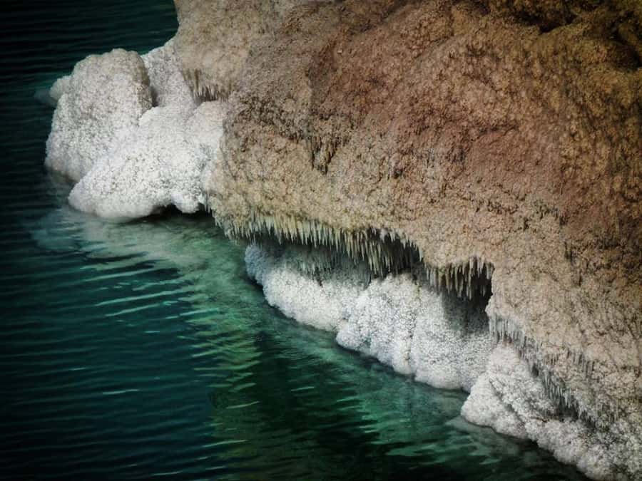 Jordan: Private Tour to The Dead Sea and Baptism Site - Should you book this Dead Sea and Baptism day trip?