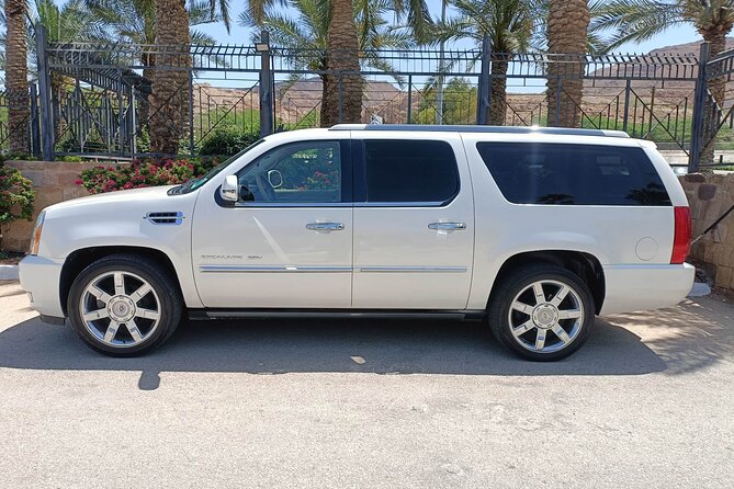 Jordan Tour: Private Driver - Luxurious car - Quick hits