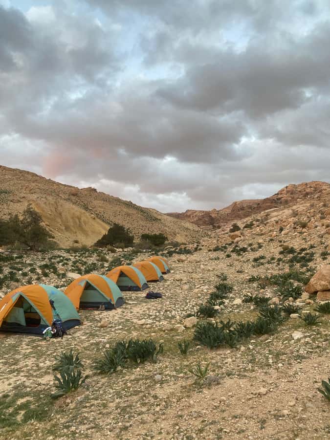Jordan Trail: Dana to Petra 4-Day Trekking Tour - Petra from the back trail: how the finale changes your first moment