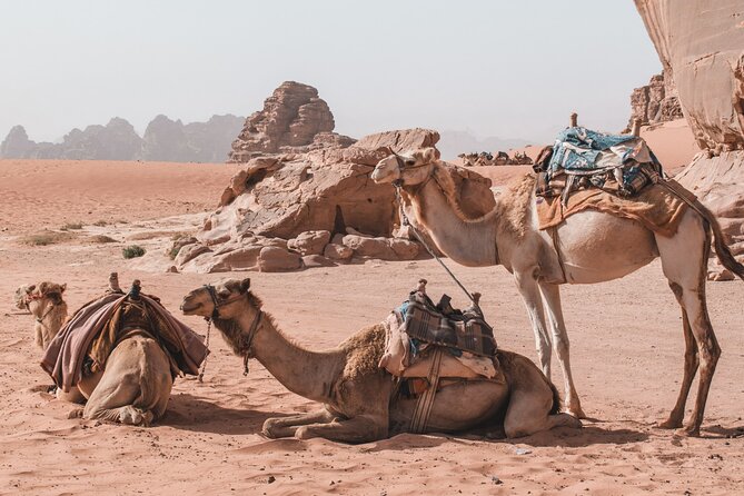 Jordan Travel Planning Services | The Jordanian Mappers - Getting Between Stops: Pickup, Wi-Fi, and Long-Haul Sanity