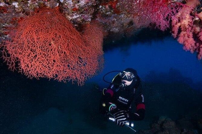 Journey of Diving or Snorkelling from a Boat - Ayla 5 Marina meet-up, and getting out on the Red Sea