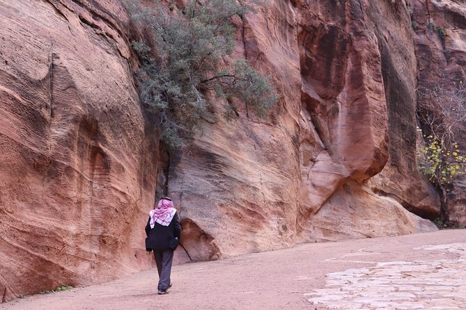 Literary tourism experience in Petra - Why Petra Feels Different With Literary Tourism