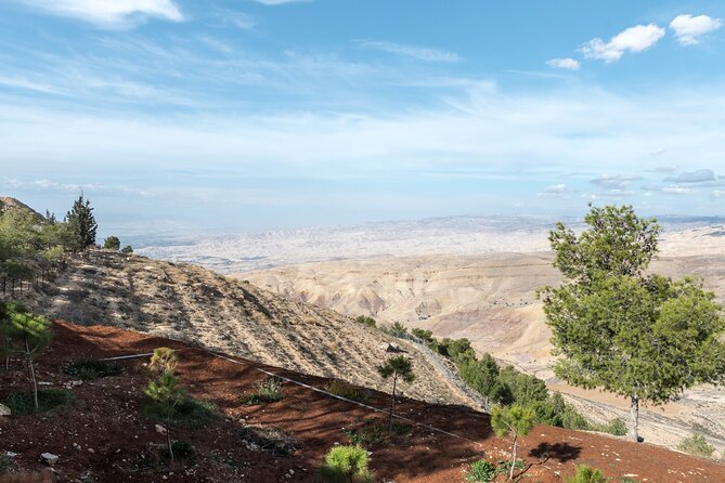 Madaba and Mount Nebo tour from Amman - What the Included Transport and Driver Service Really Means