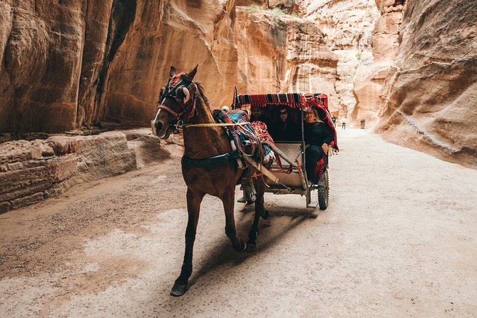 MULTI DAYS TOURS | TWO Days tour in PETRA | The Jordanian Mappers - Who should book this Petra and Little Petra tour
