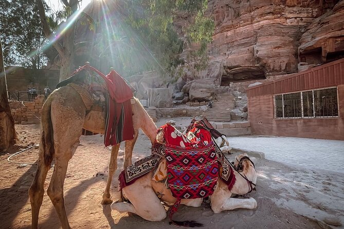 Nabatean Nights Stay in Petra Jordan - Bedouin Village with Tour - Lunch in a converted Bedouin cave home