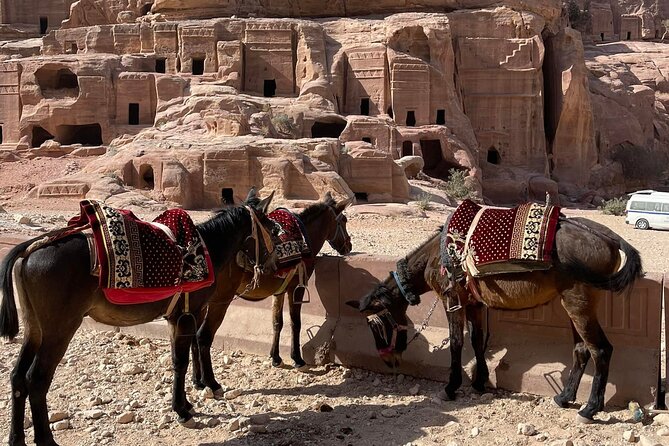 Nabatean Nights Stay in Petra Jordan - Bedouin Village with Tour - Meeting at the Treasury and starting with the right first views