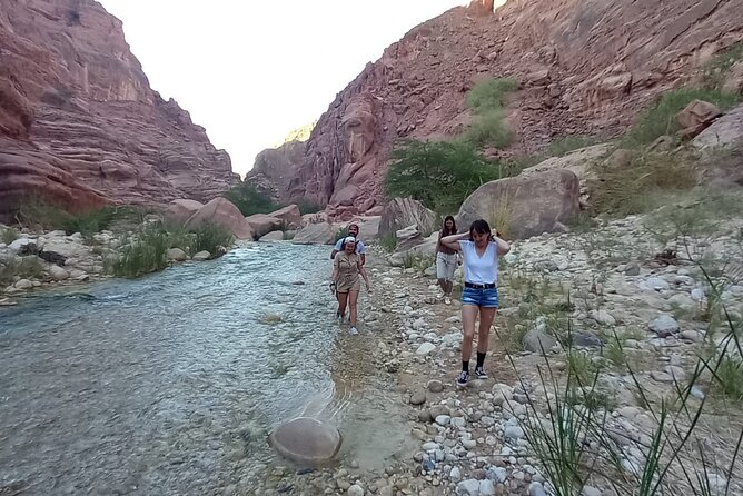 One Day Hiking Wadi Al Hasa Canyon - The river walk: sandstone walls, shade, and a steady rhythm