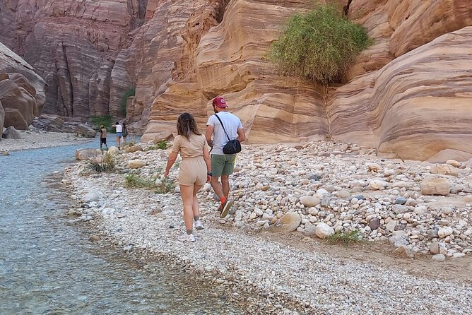 One Day Hiking Wadi Al Hasa Canyon - Guides who connect local water use to what you’re seeing