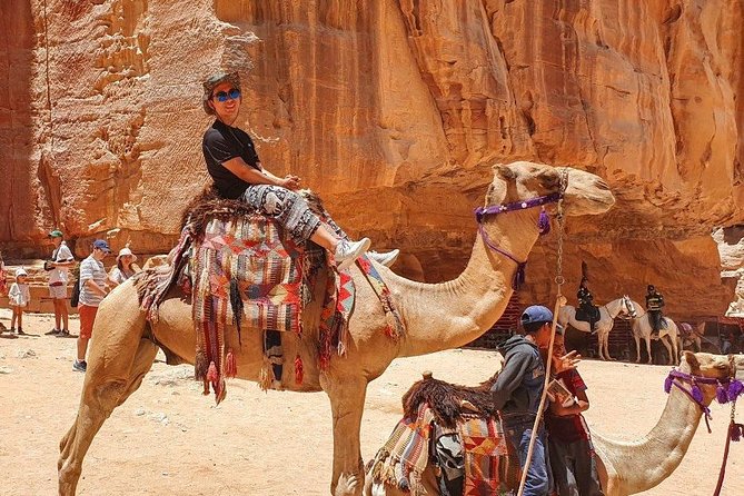 One Day Petra From Aqaba - Price and logistics: what you’re really paying for