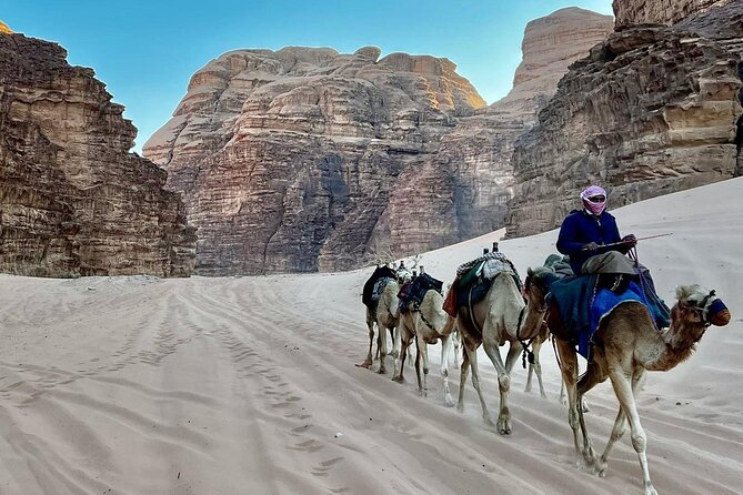 One Day Petra & Wadi Rum from Aqaba - Petra guide time is the real upgrade, not just a photo stop
