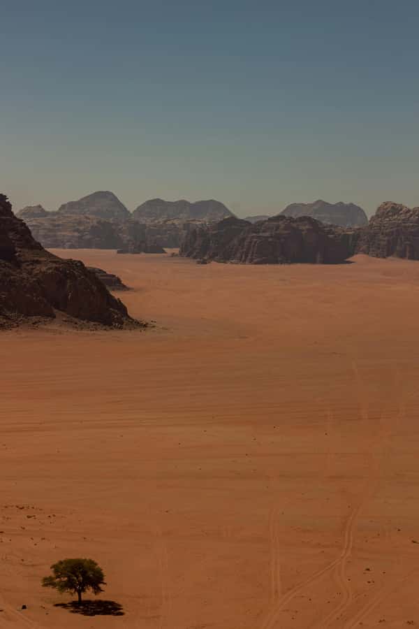 One Day Tour from Aqaba - Petra and Wadi Rum - Aqaba - Price and Value: Is $209 a Good Deal for Petra and Wadi Rum?